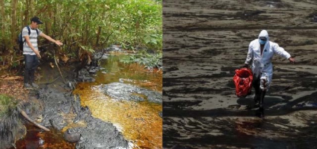 Derrames de petróleo: restauración ambiental es urgente en las zonas impactadas 